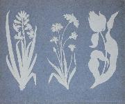 Hyacinth,Cornflower,Tulip
